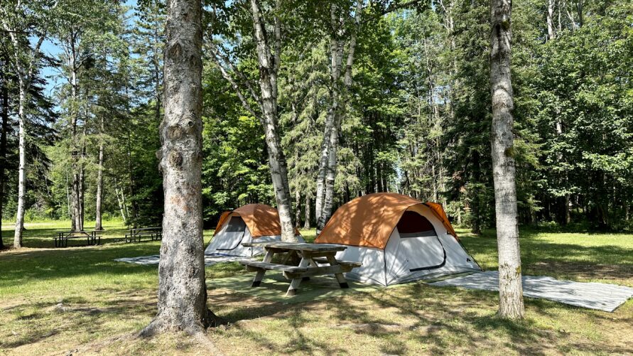Camping Tent – Evergreen Grove